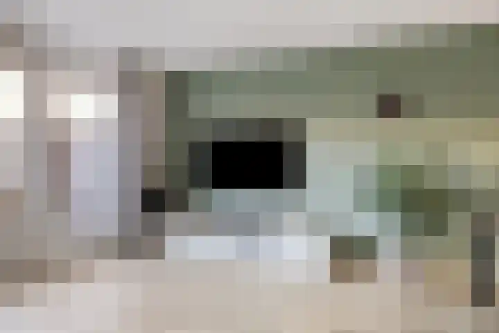 Melkfabriekstraat 14 Breda thumbnail 6