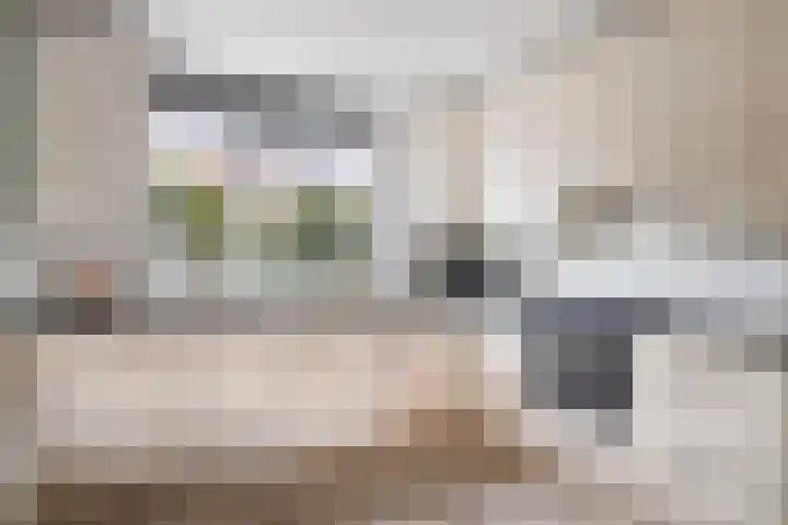 Melkfabriekstraat 14 Breda thumbnail 9