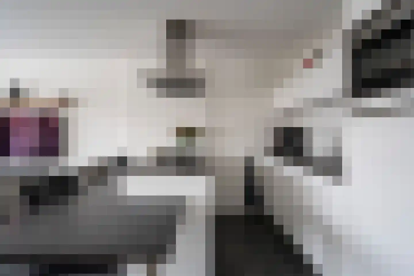 Melkheul 37 Gorinchem thumbnail 10