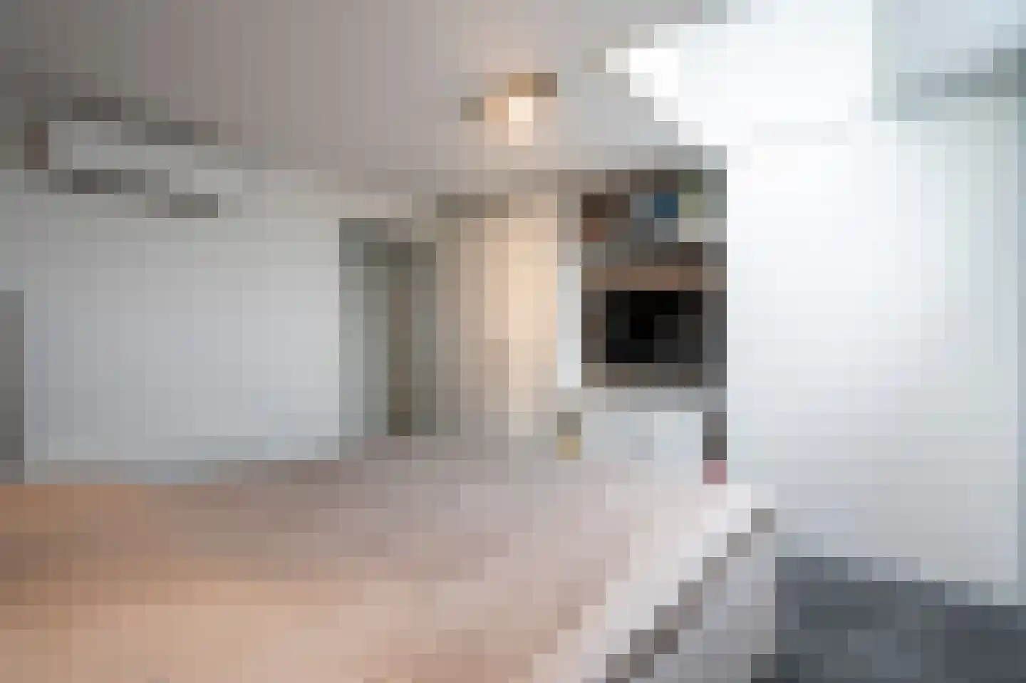 Melkheul 37 Gorinchem thumbnail 16