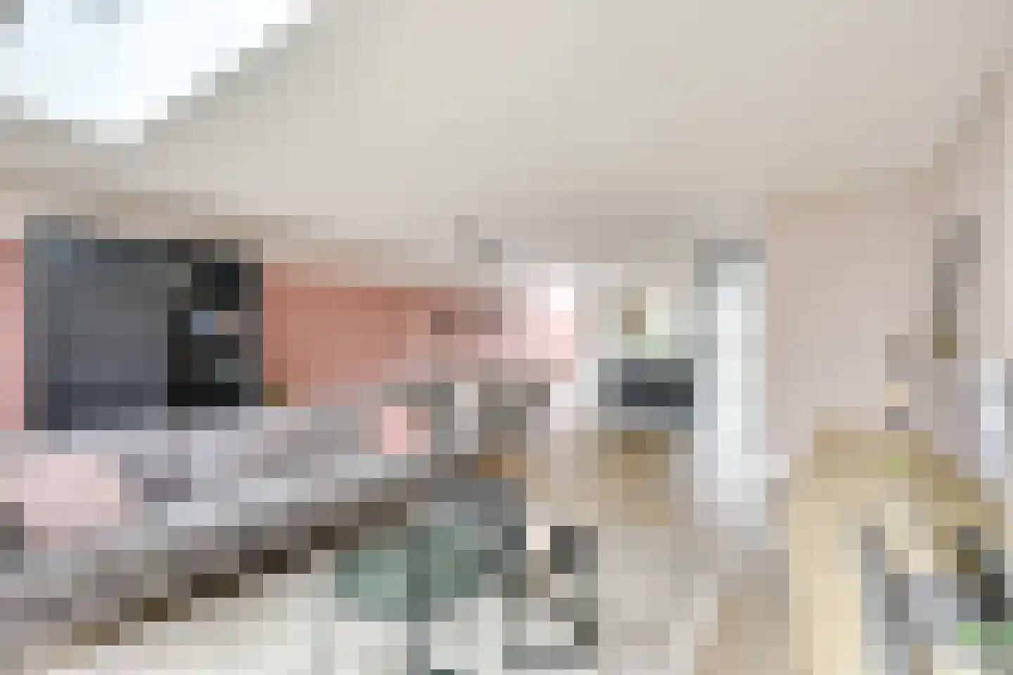 Melkhoeve 55 Houten thumbnail 15