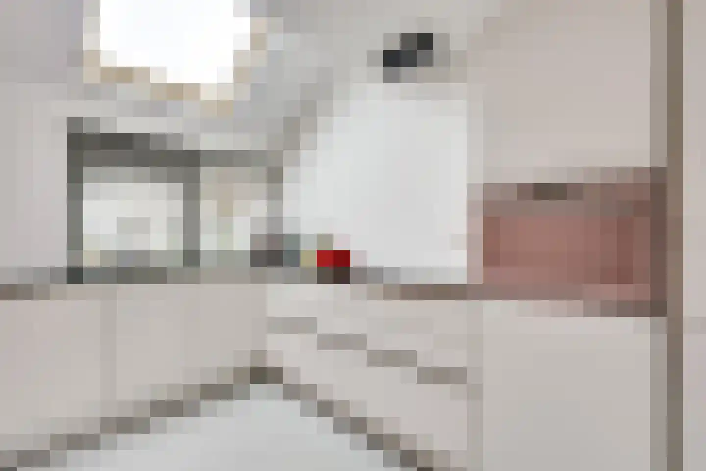Melkhoeve 55 Houten thumbnail 17