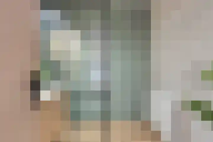 Melkkruid 13 Purmerend thumbnail 20