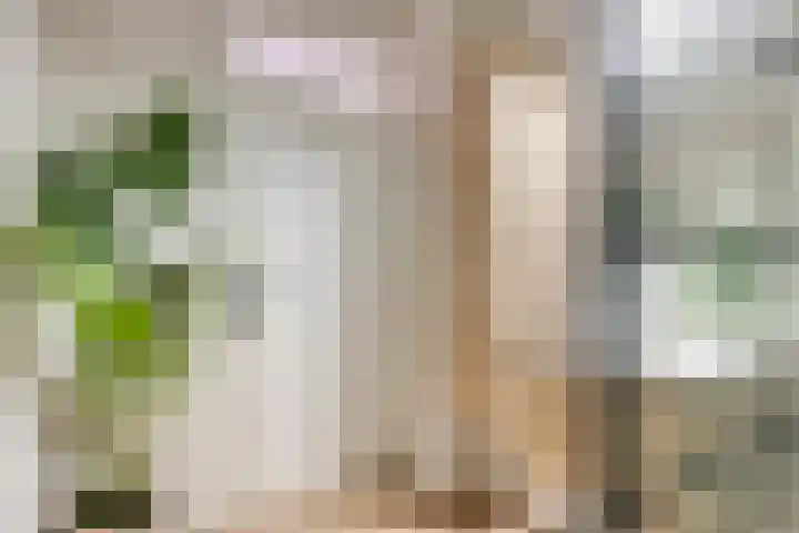 Melkkruid 13 Purmerend thumbnail 21