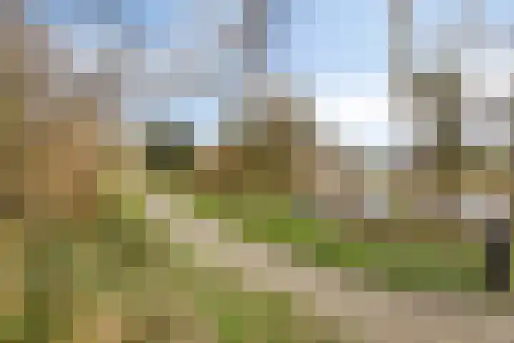 Melkkruid 13 Purmerend thumbnail 27