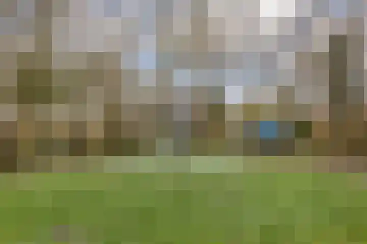 Melkkruid 13 Purmerend thumbnail 28