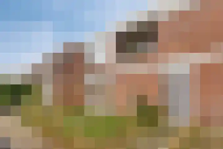Melkkruid 13 Purmerend thumbnail 29