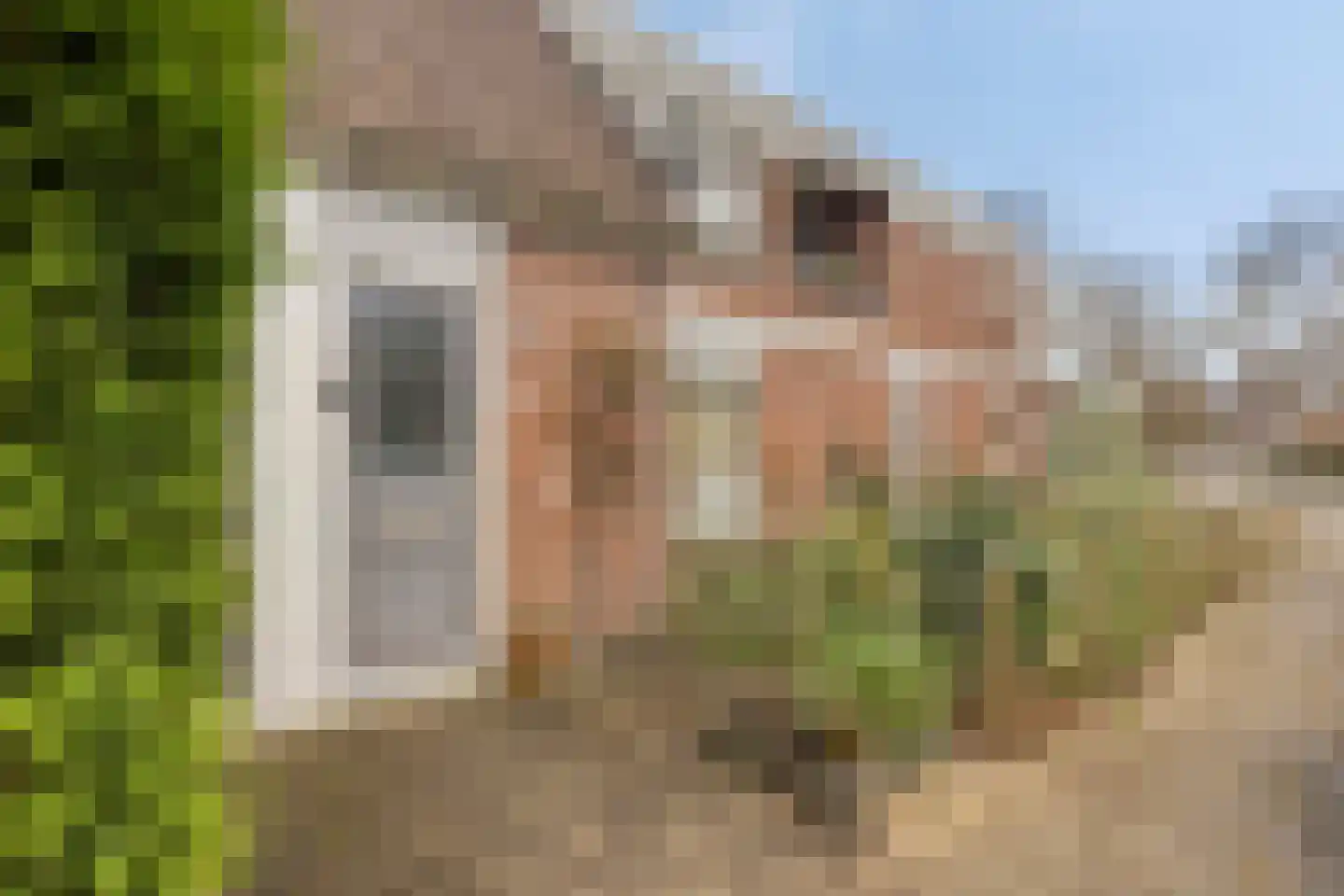 Melkkruid 13 Purmerend thumbnail 37