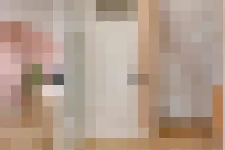 Melkkruid 13 Purmerend thumbnail 5
