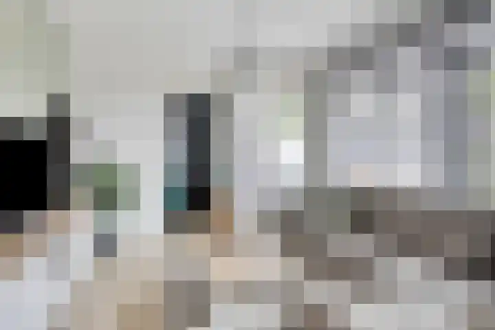 Melkkruid 39 Purmerend thumbnail 10