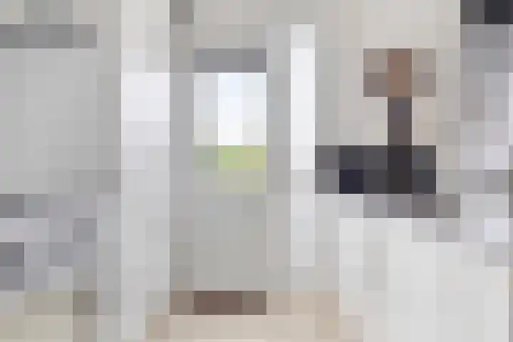 Melkkruid 39 Purmerend thumbnail 12