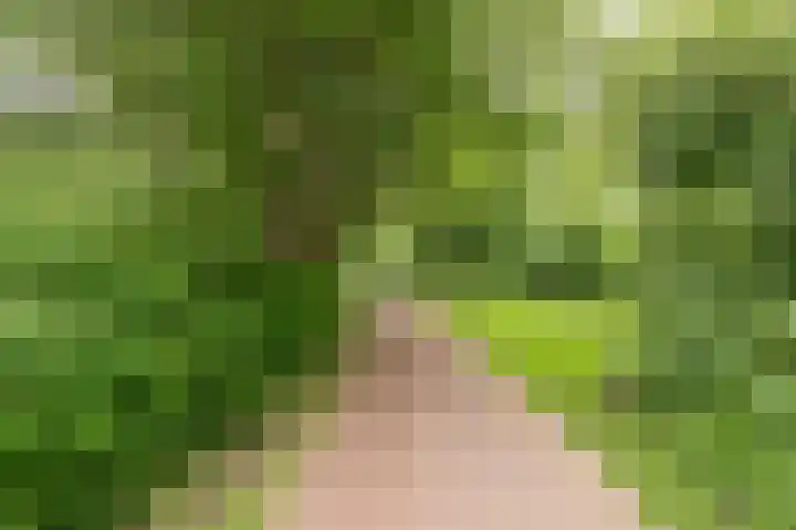 Melkkruid 39 Purmerend thumbnail 23