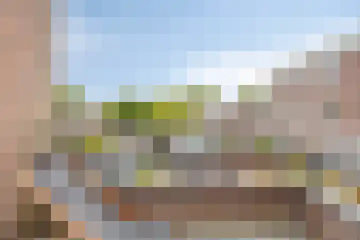 Melkkruid 39 Purmerend thumbnail 5