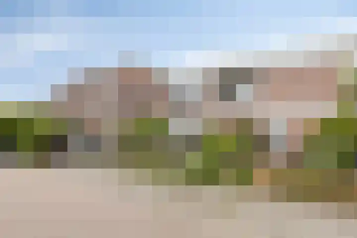 Melkkruid 39 Purmerend thumbnail 6