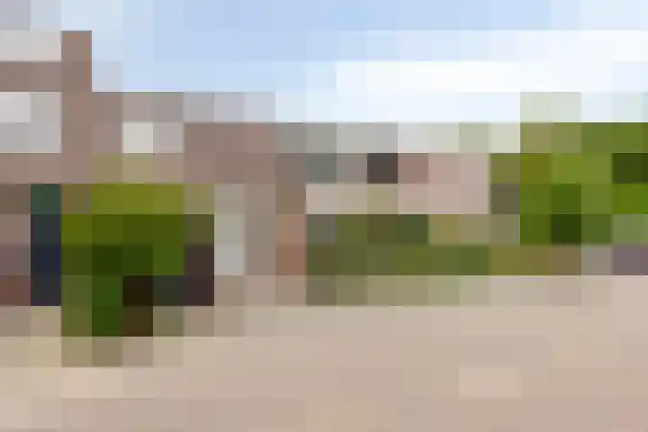 Melkkruid 39 Purmerend thumbnail 7