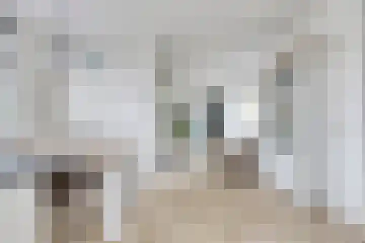 Melkkruid 39 Purmerend thumbnail 9