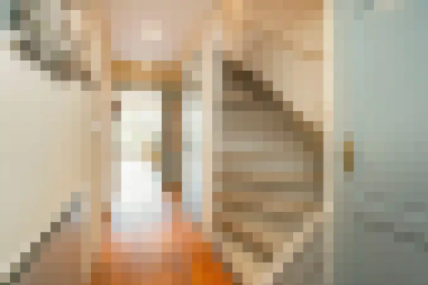 Melkmeisjeslaan 10 De Meern thumbnail 16