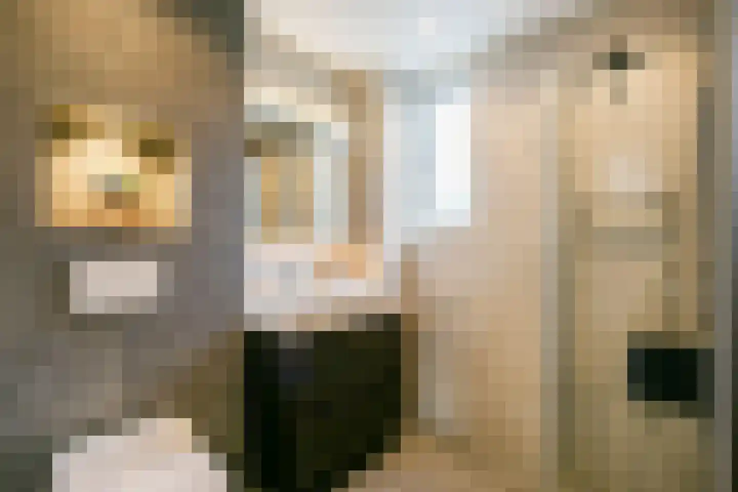 Melkmeisjeslaan 10 De Meern thumbnail 17