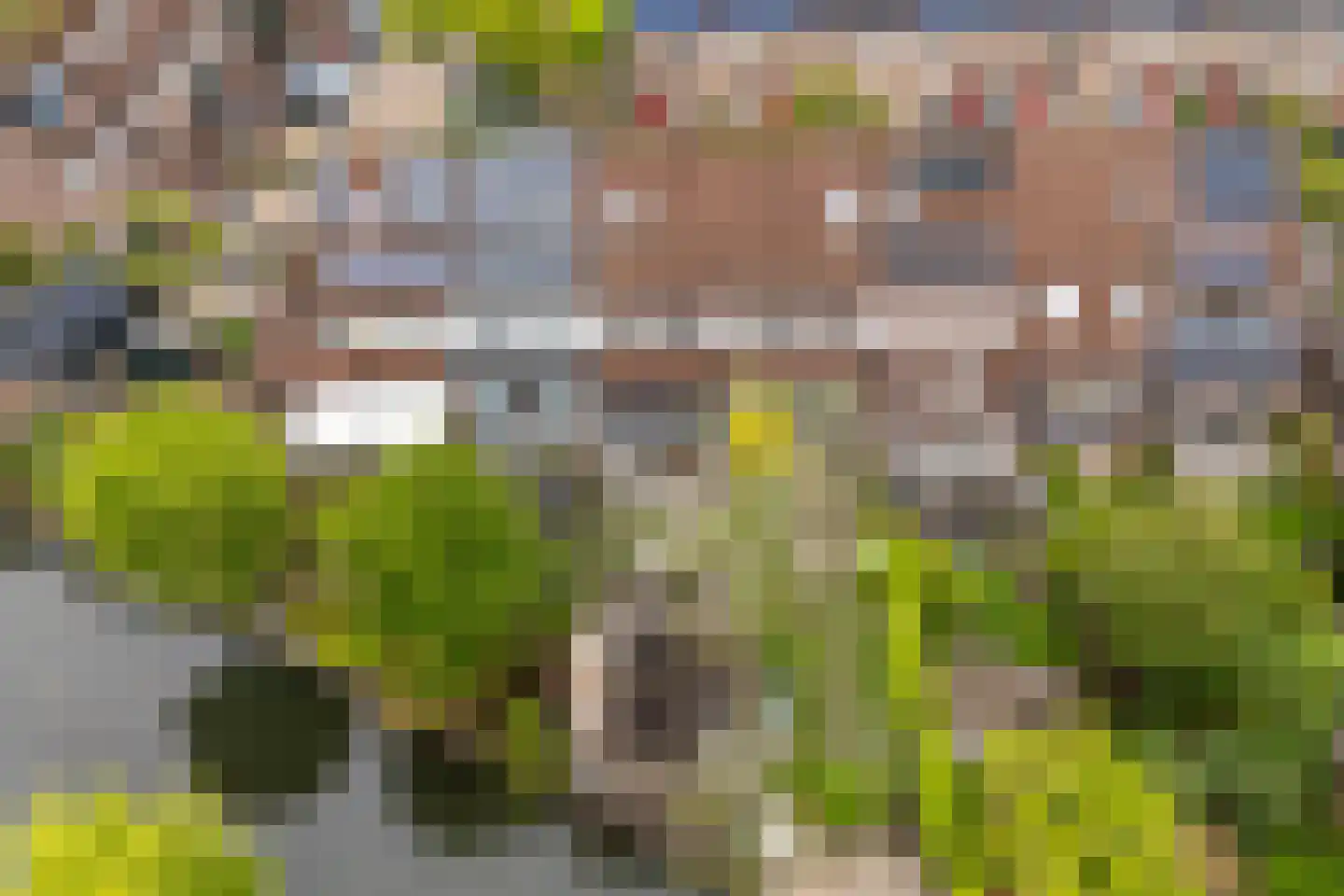 Melkmeisjeslaan 10 De Meern foto 2