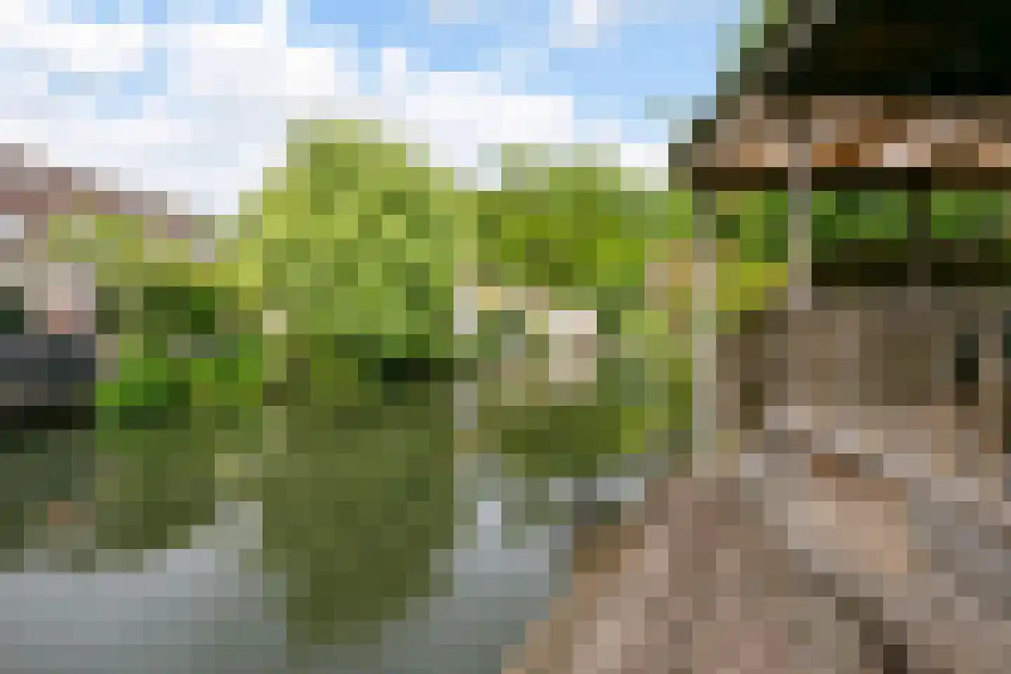 Melkmeisjeslaan 10 De Meern thumbnail 33