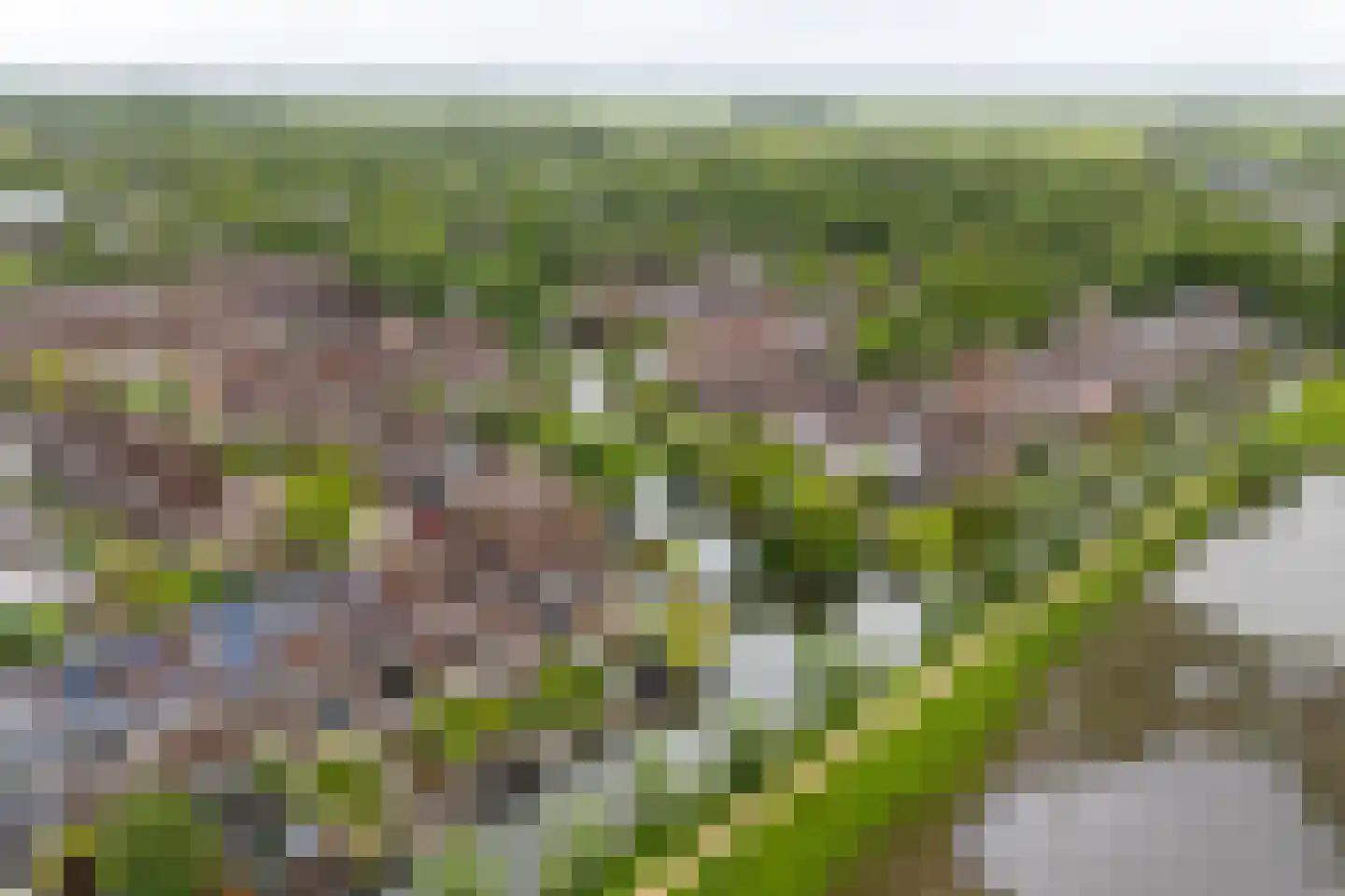 Melkmeisjeslaan 10 De Meern thumbnail 34