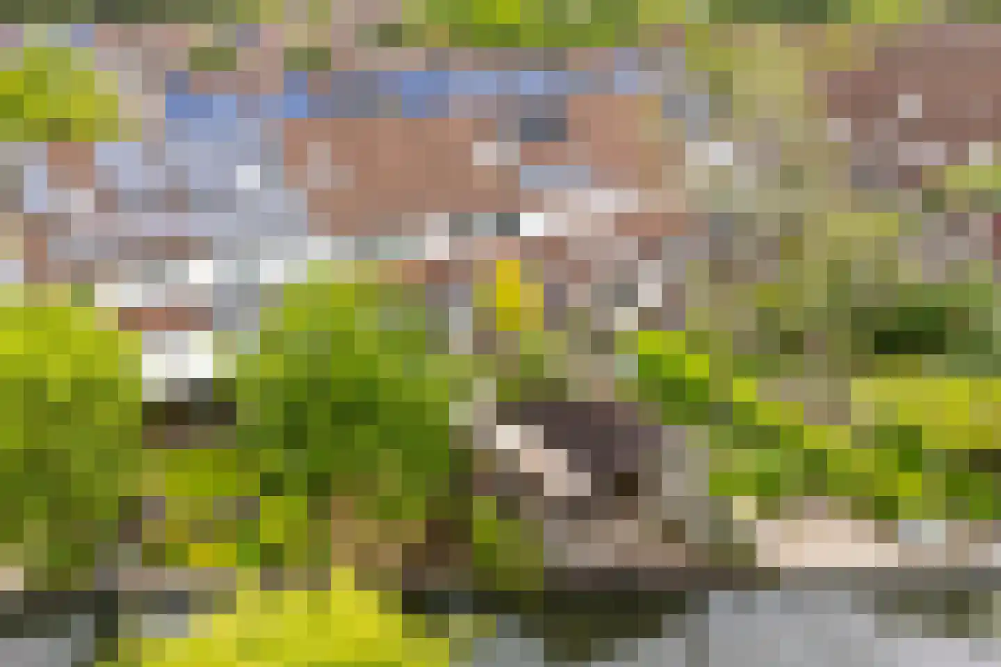 Melkmeisjeslaan 10 De Meern thumbnail 37