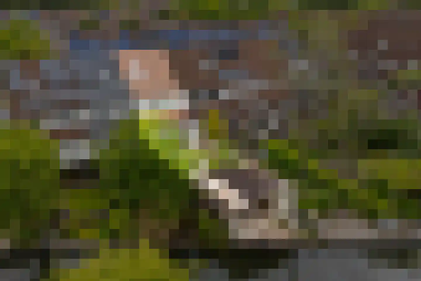 Melkmeisjeslaan 10 De Meern thumbnail 38
