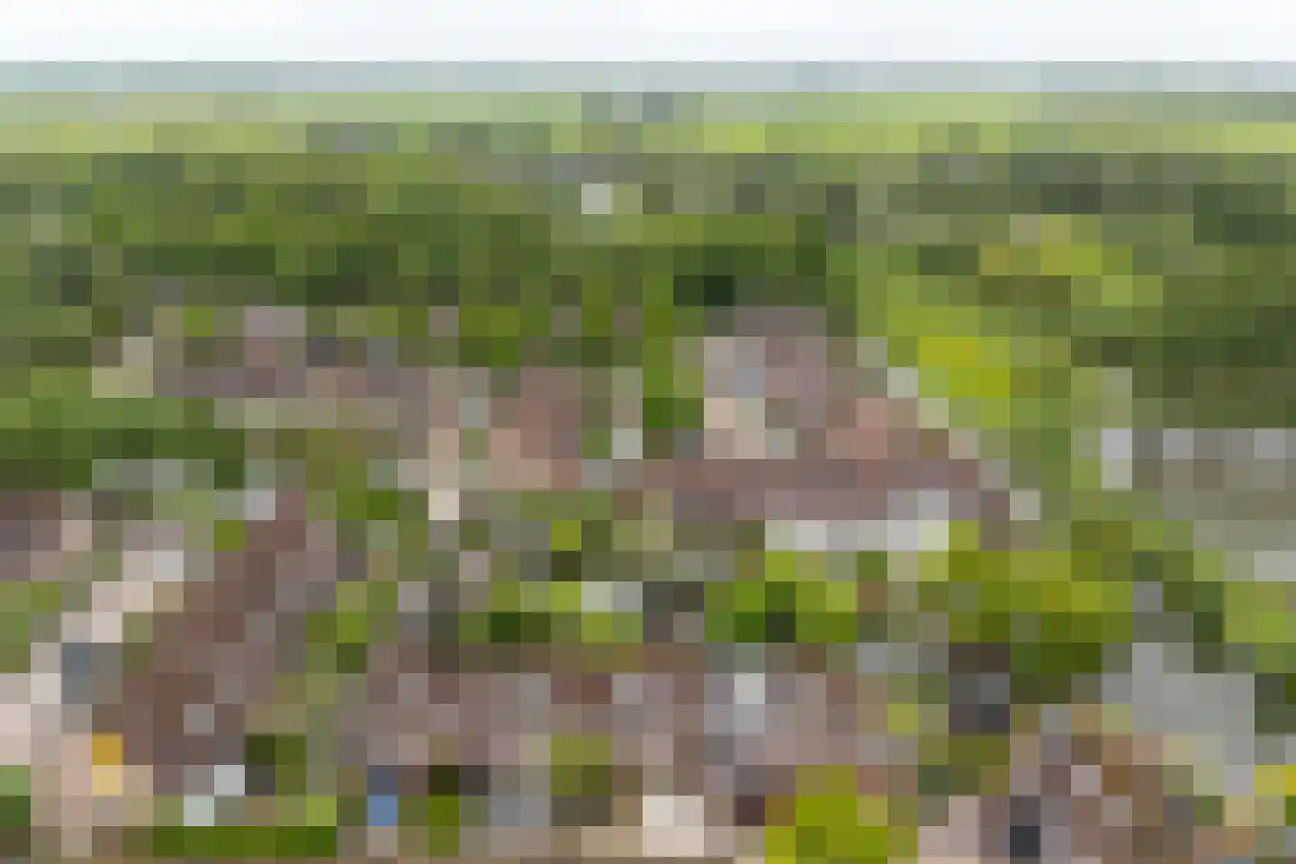 Melkmeisjeslaan 10 De Meern thumbnail 40