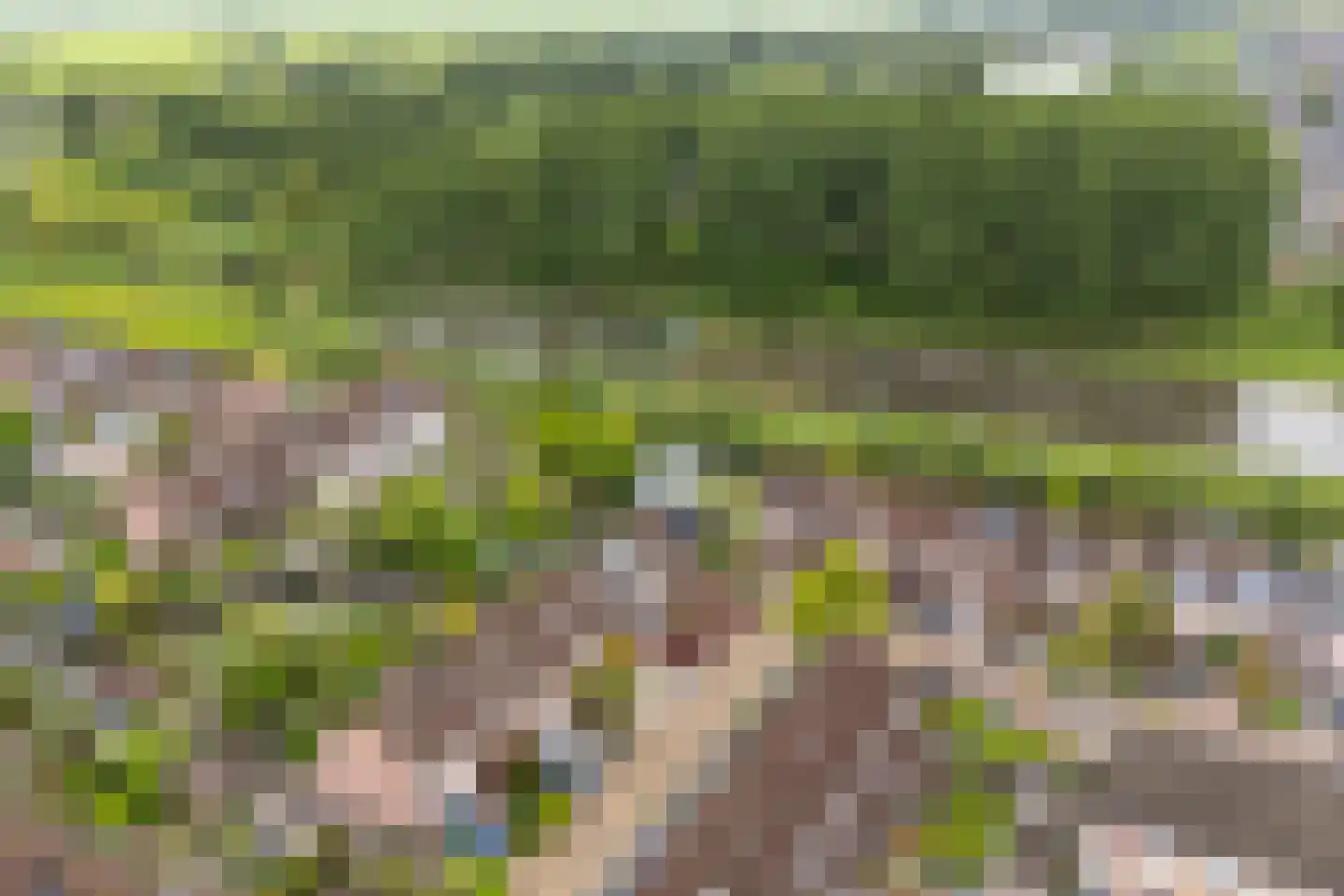 Melkmeisjeslaan 10 De Meern thumbnail 41