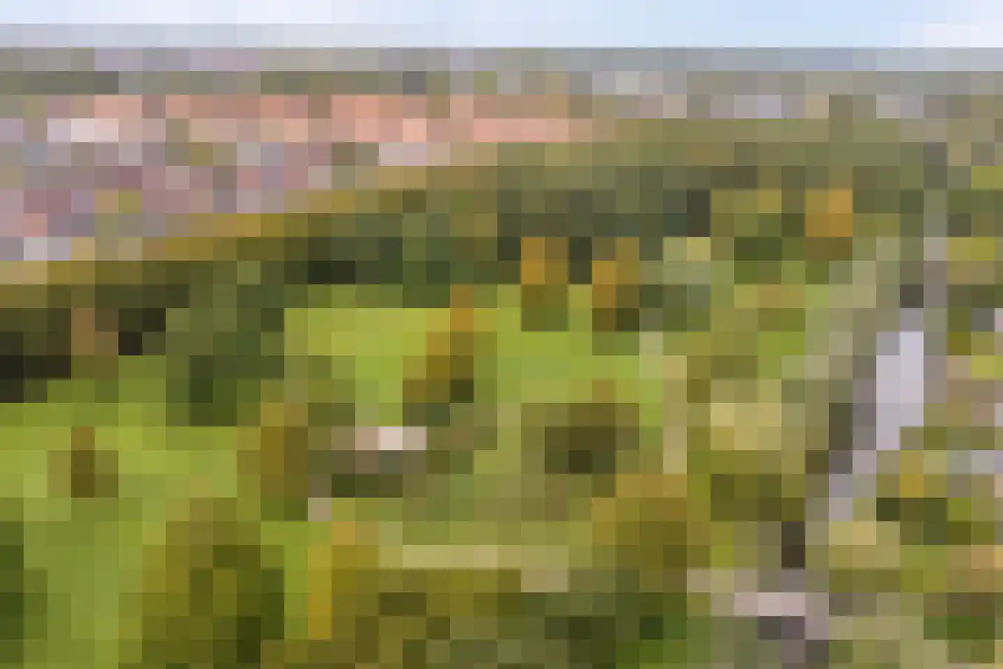 Melkmeisjeslaan 10 De Meern thumbnail 46