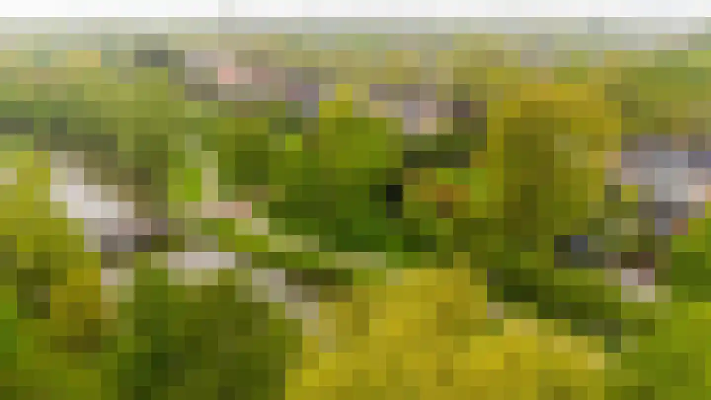 Melkmeisjeslaan 10 De Meern thumbnail 47