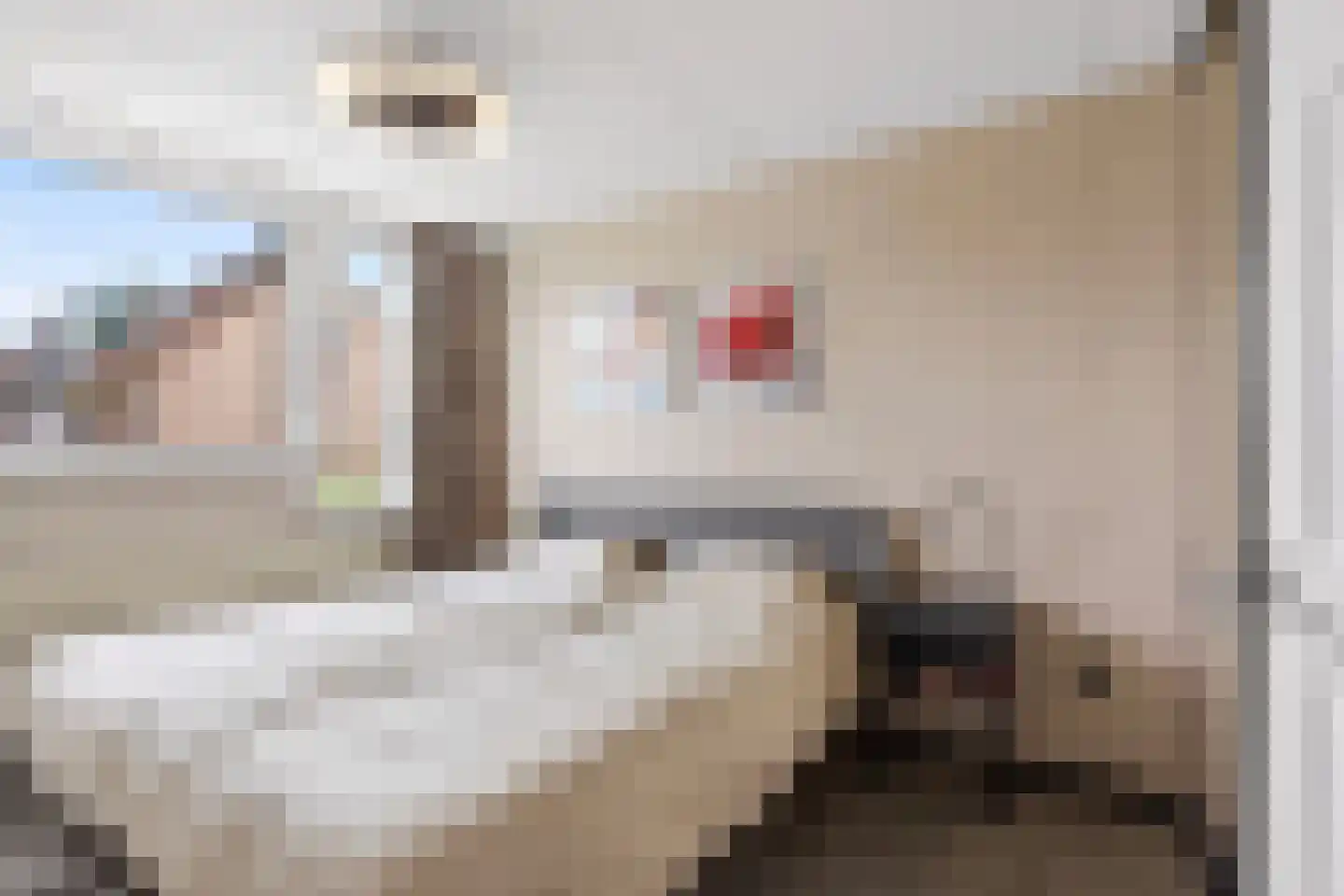 Melkmeisjeslaan 16 De Meern thumbnail 17