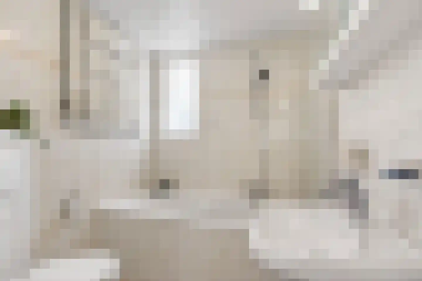 Melkmeisjeslaan 16 De Meern thumbnail 20