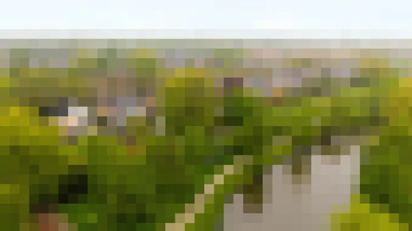 Melkmeisjeslaan 16 De Meern thumbnail 31