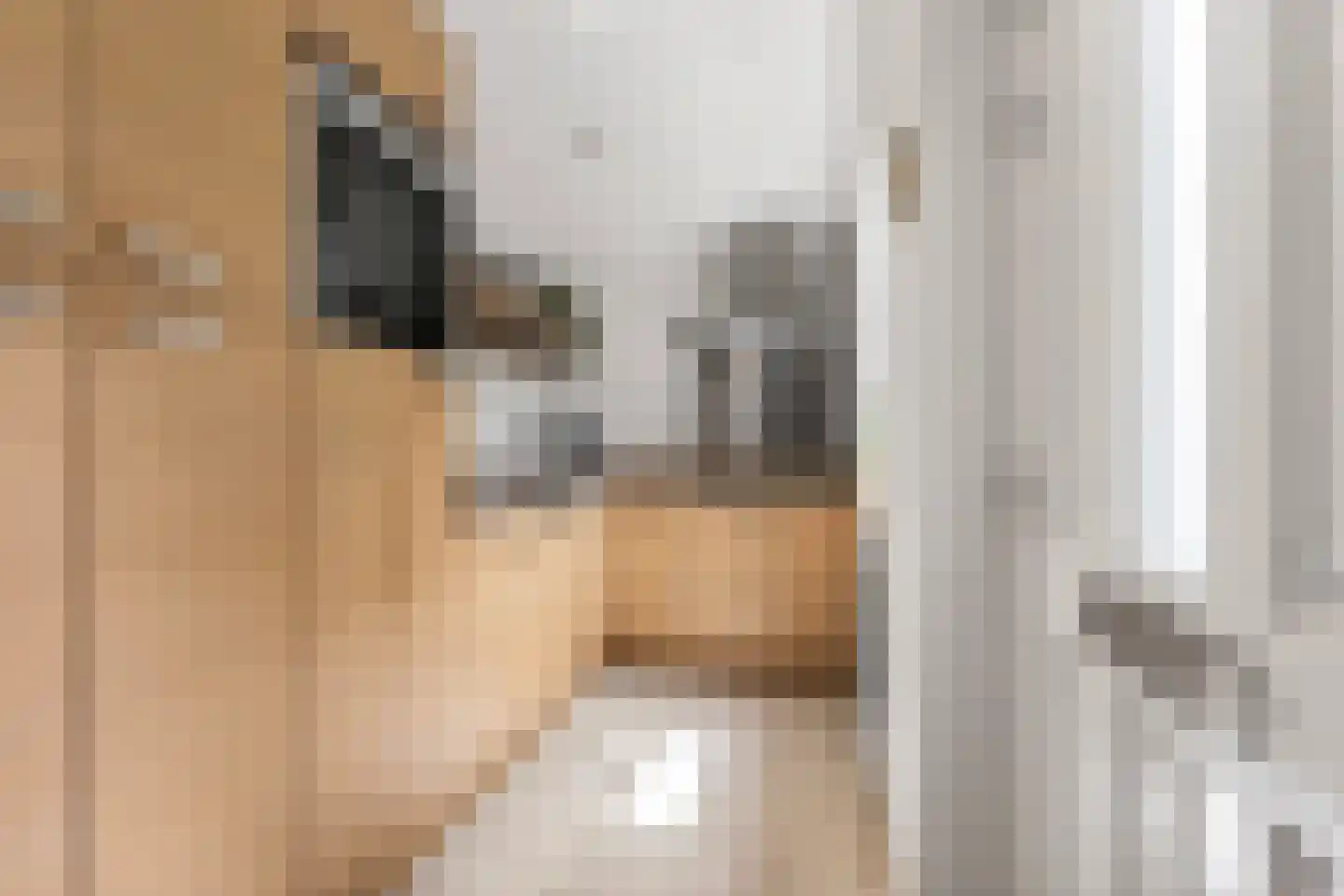 Melkmeisjeslaan 16 De Meern thumbnail 9