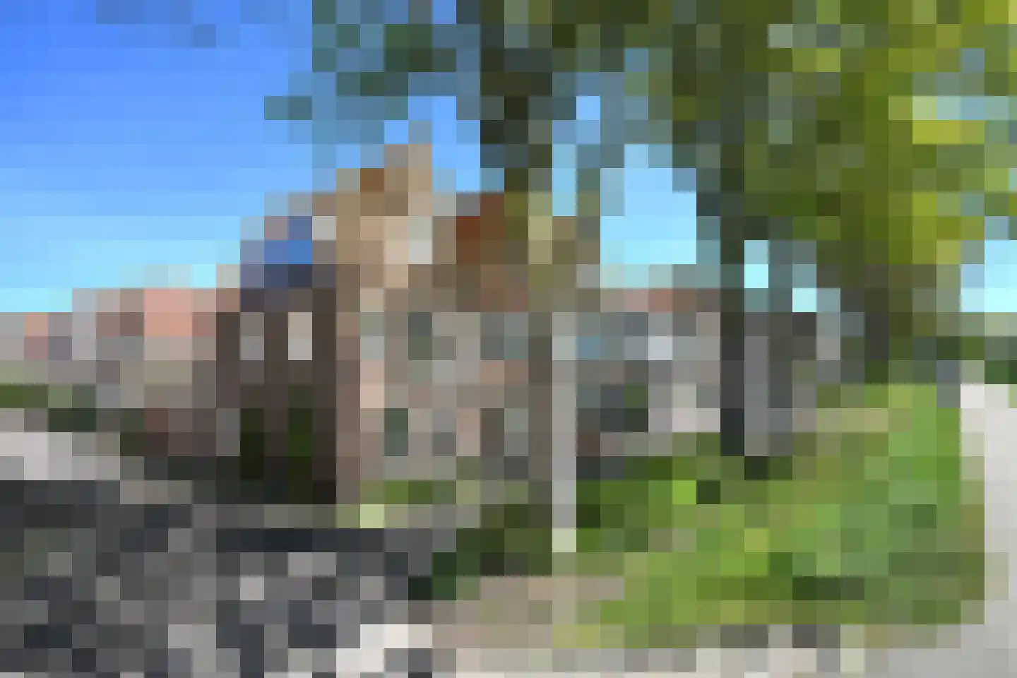 Melknapsteeg 2 Hoorn foto 2
