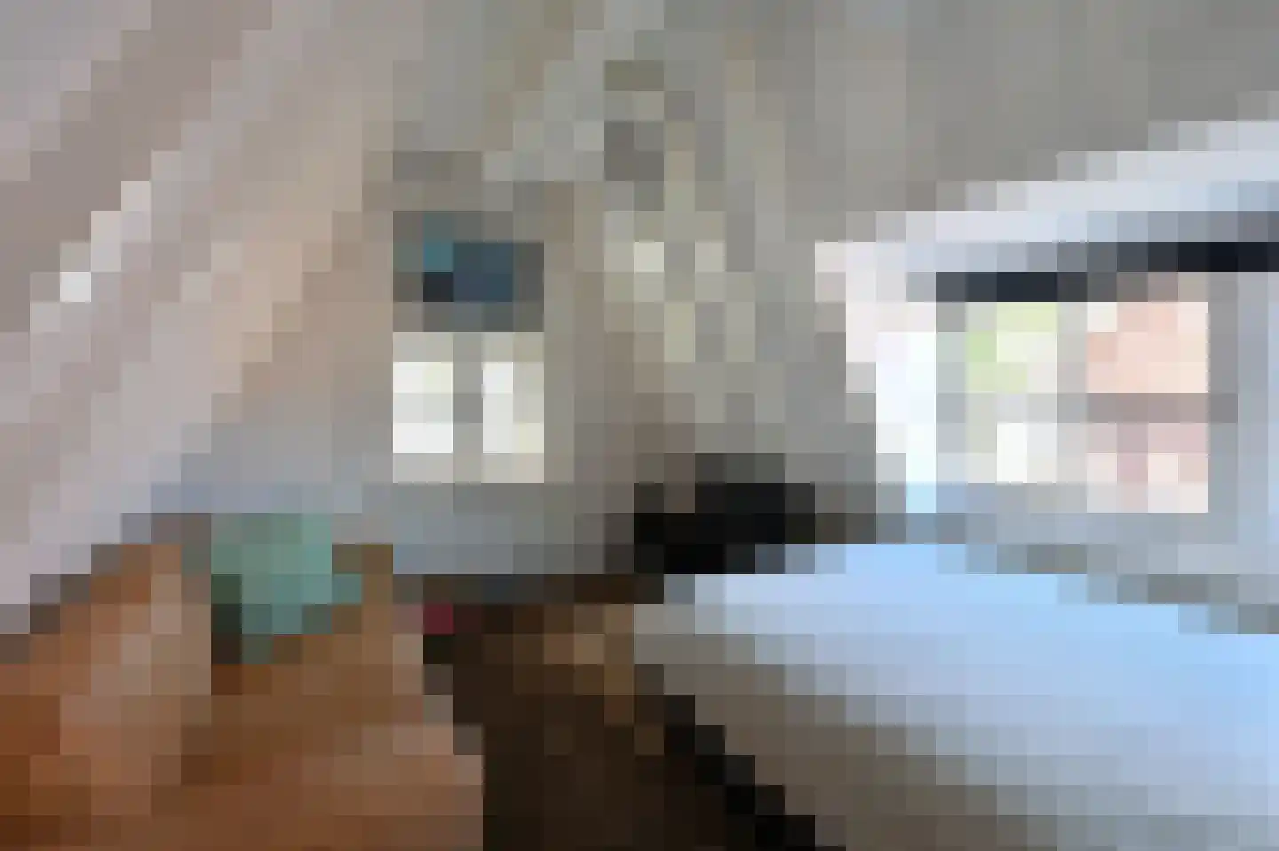 Melknapsteeg 2 Hoorn thumbnail 22