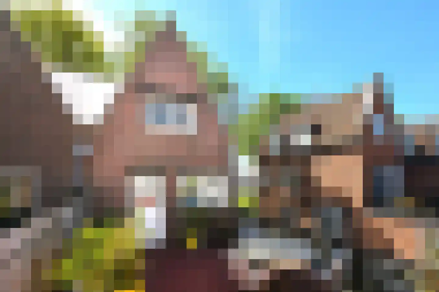 Melknapsteeg 2 Hoorn thumbnail 28