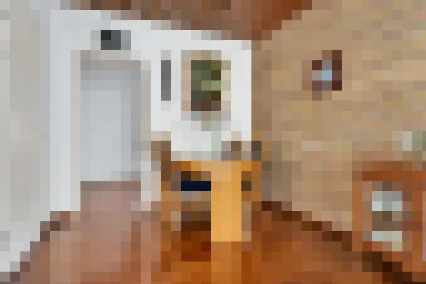 Melkpad 13 Baarn thumbnail 10