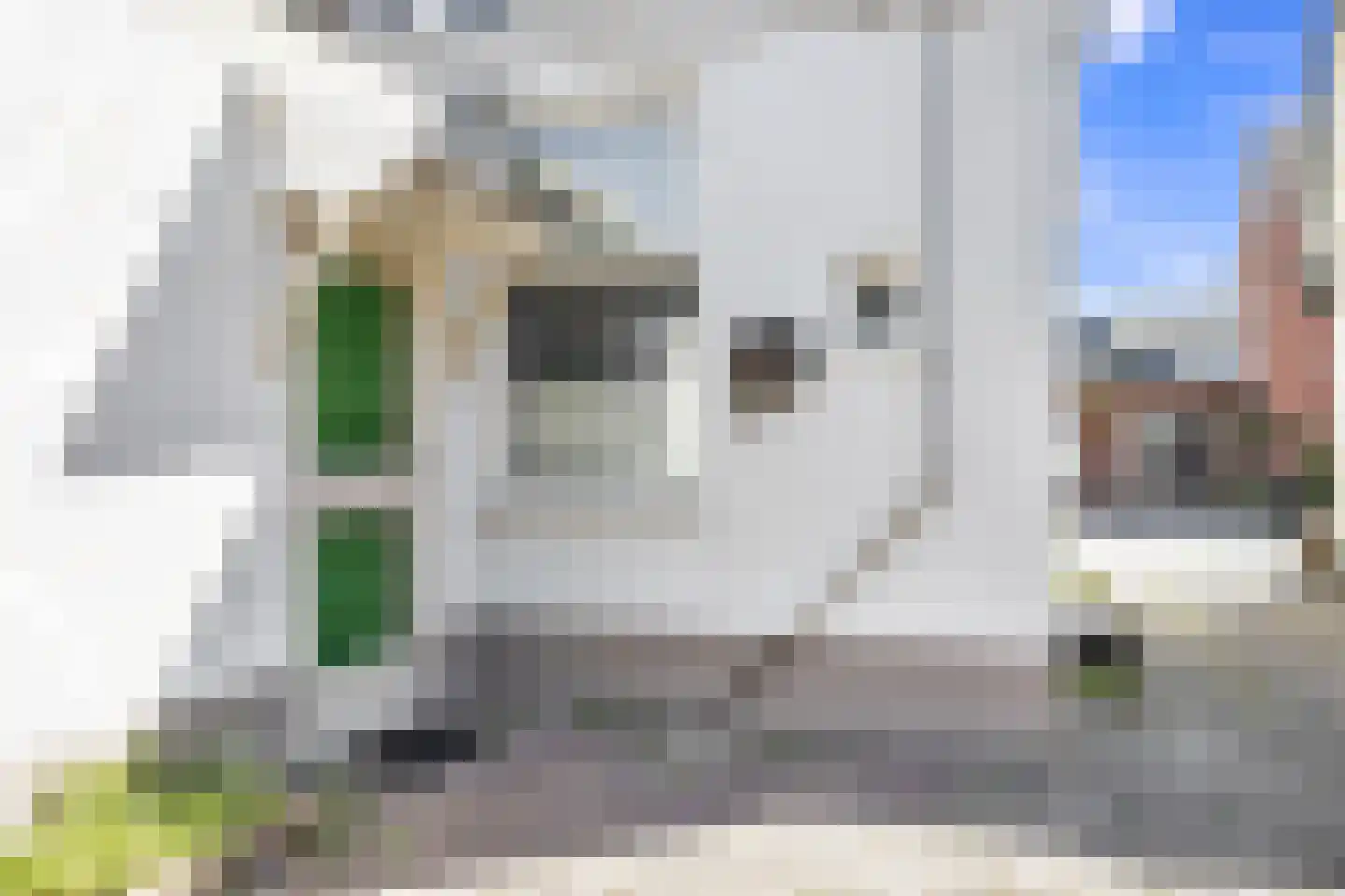 Melkpad 13 Baarn thumbnail 23