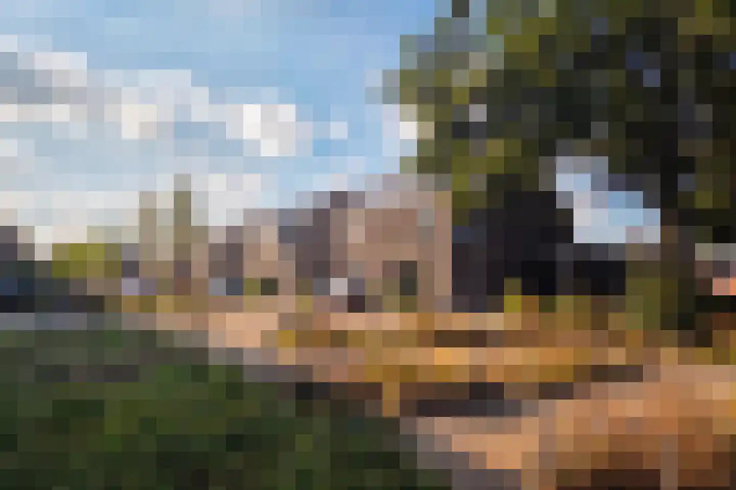 Melkpad 16 Gilze thumbnail 64