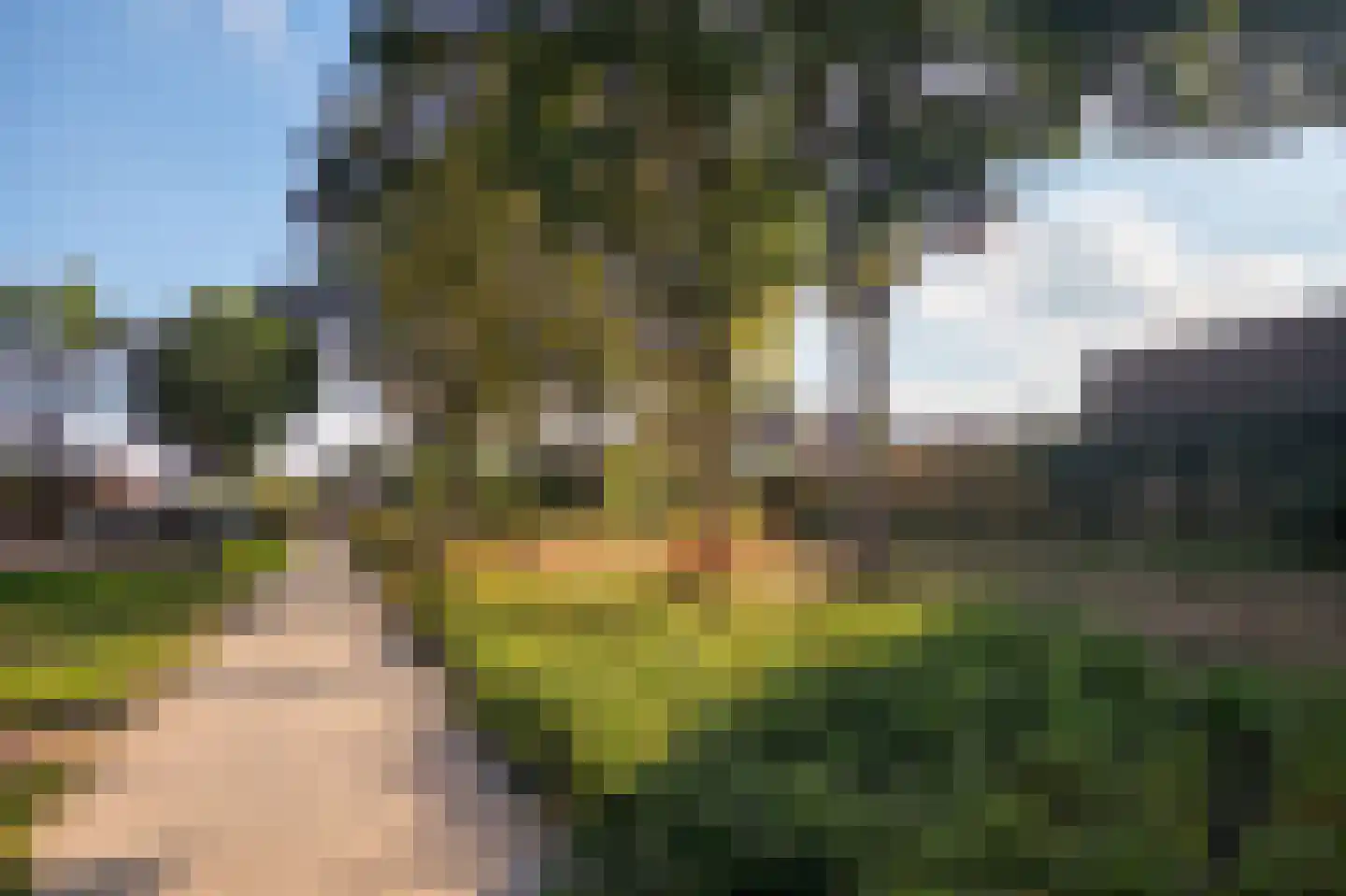 Melkpad 16 Gilze thumbnail 65