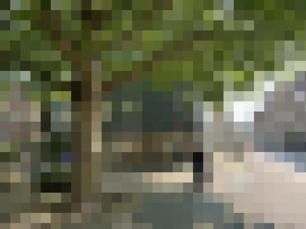 Melkpad 2 Gorinchem thumbnail 12