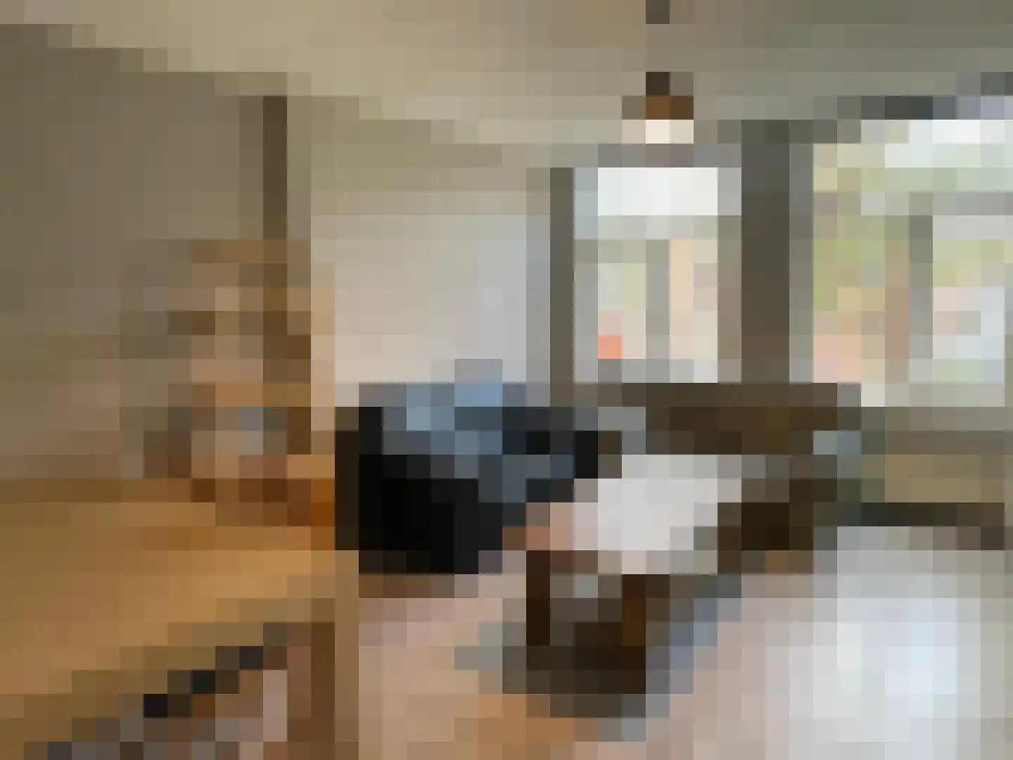 Melkpad 2 Gorinchem thumbnail 7