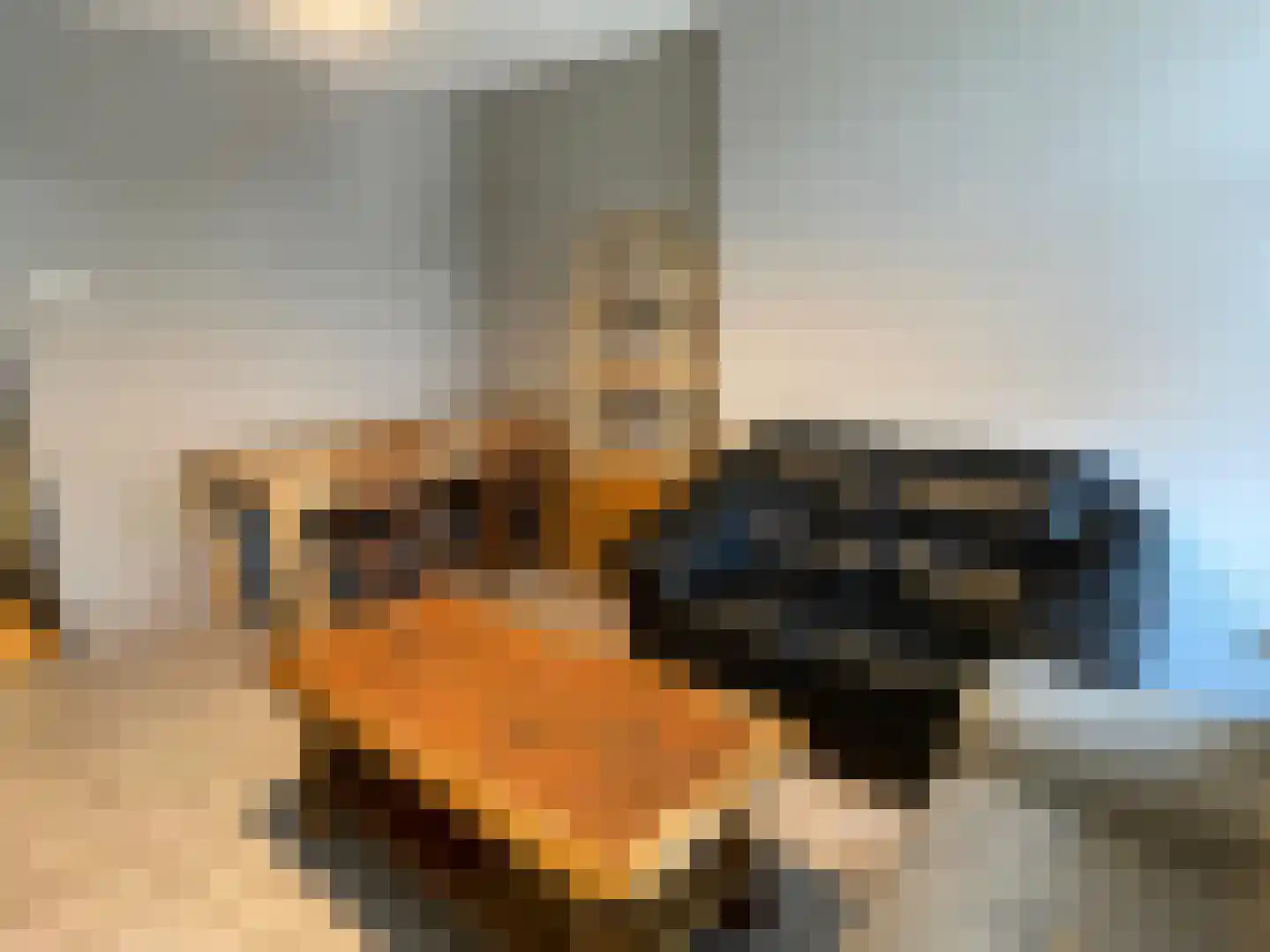 Melkpad 2 Gorinchem thumbnail 8