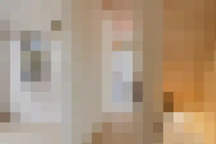 Melkpad 221 Zeeland thumbnail 22