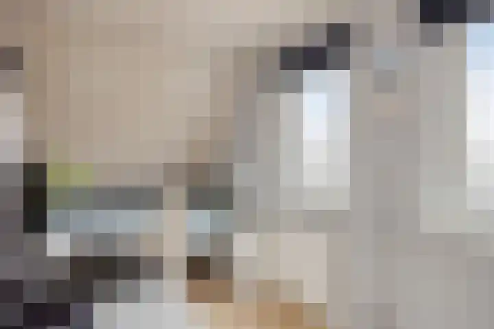Melkpad 221 Zeeland thumbnail 26