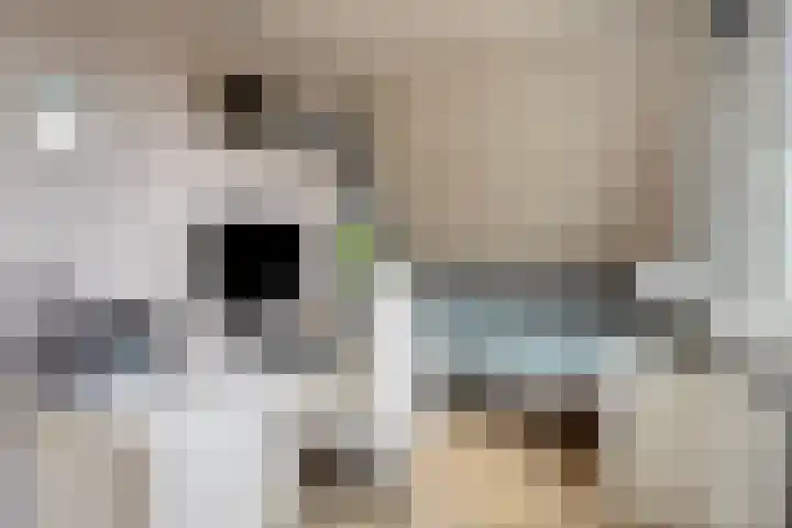 Melkpad 221 Zeeland thumbnail 27