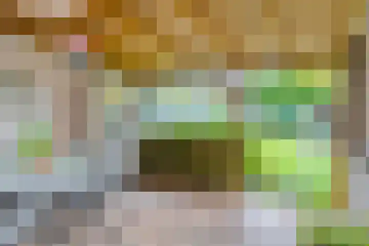 Melkpad 221 Zeeland thumbnail 34