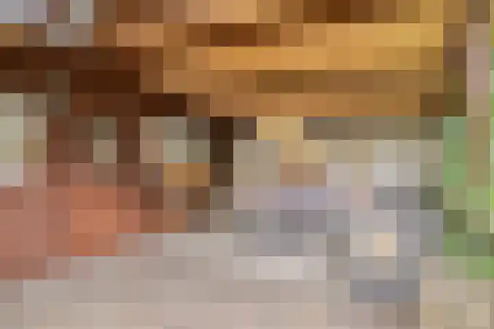 Melkpad 221 Zeeland thumbnail 37